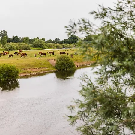 Thoeles*** Am Allerpark Verden 3* Verden an der Aller