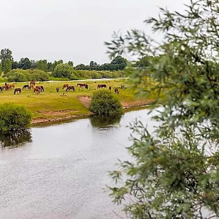 Hotel Thoeles*** Am Allerpark Verden